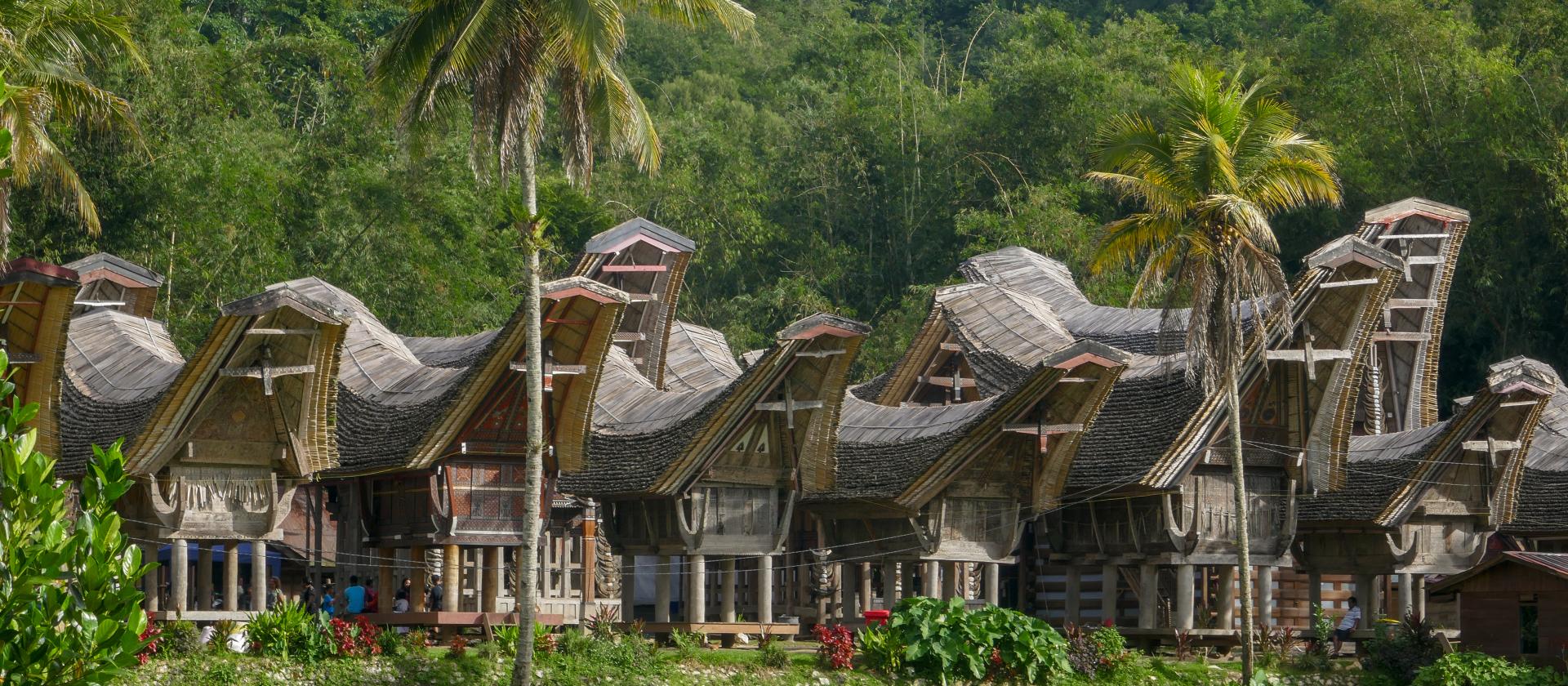 Zwiedzanie Tana Toraja na wyspie Sulawesi