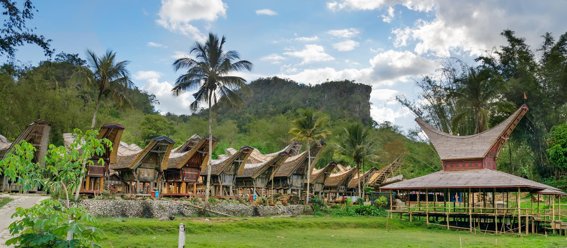 Zwiedzanie Tana Toraja na wyspie Sulawesi