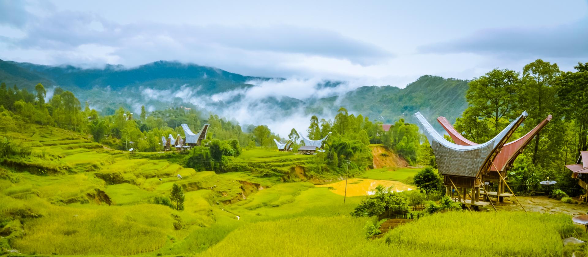 Zwiedzanie Tana Toraja na wyspie Sulawesi