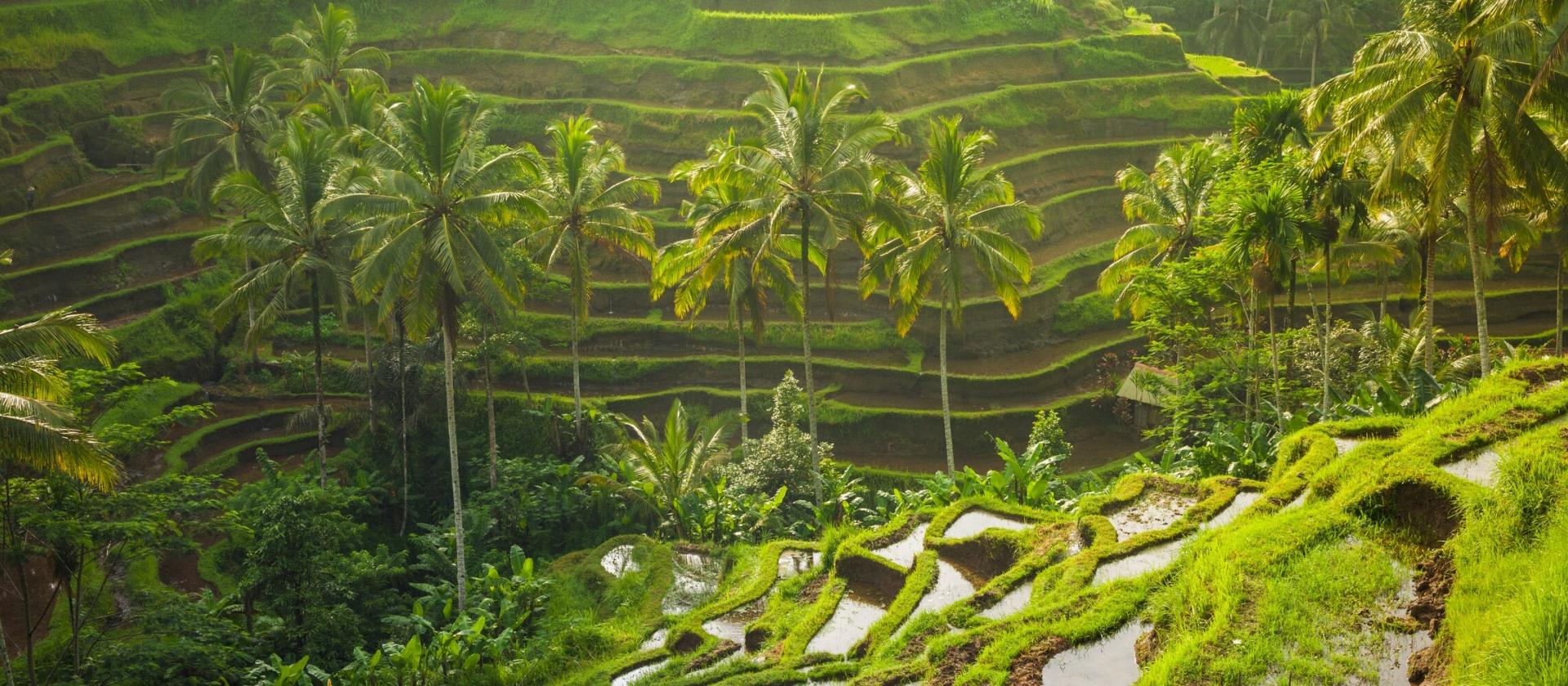 Zwiedzanie największych atrakcji Bali z przewodnikiem