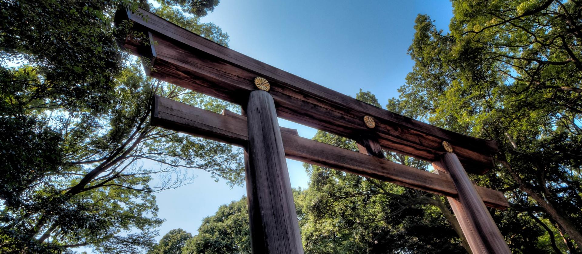Brama torii przy świątyni Meiji Jingu