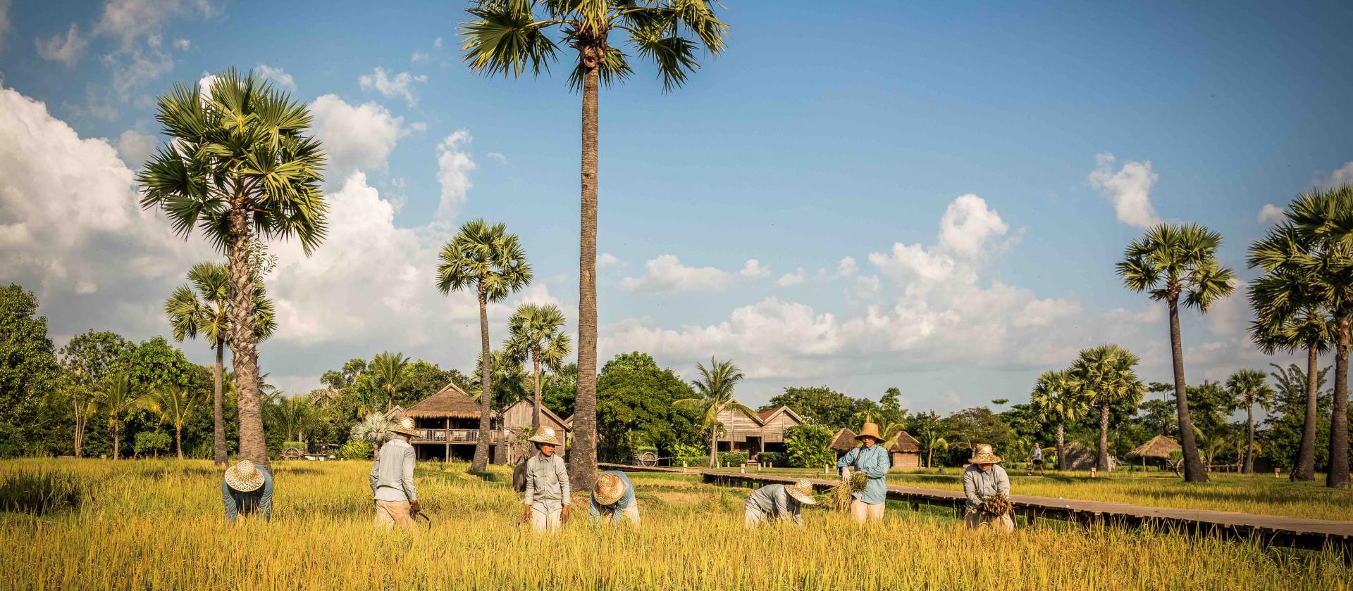Zannier Hotels Phum Baitang