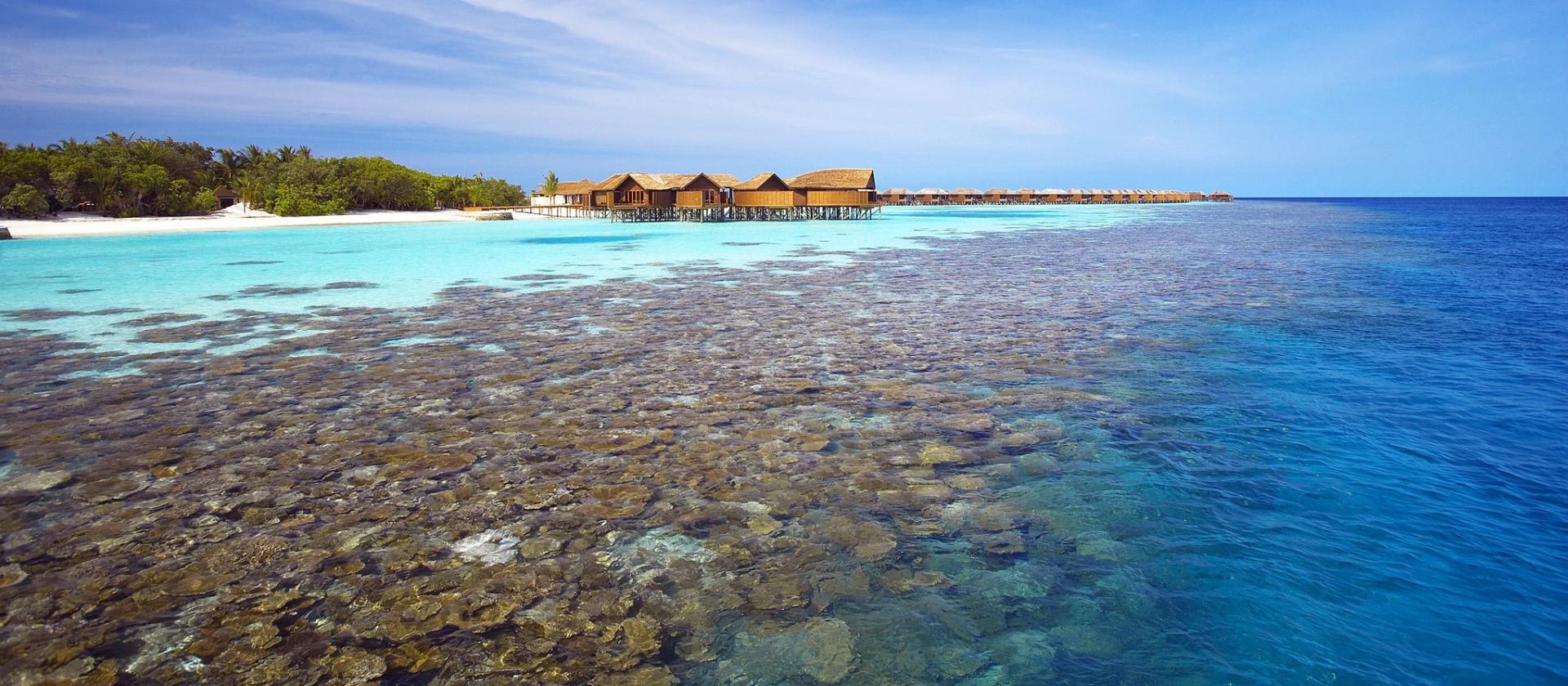 Lily Beach Resort & SPA 