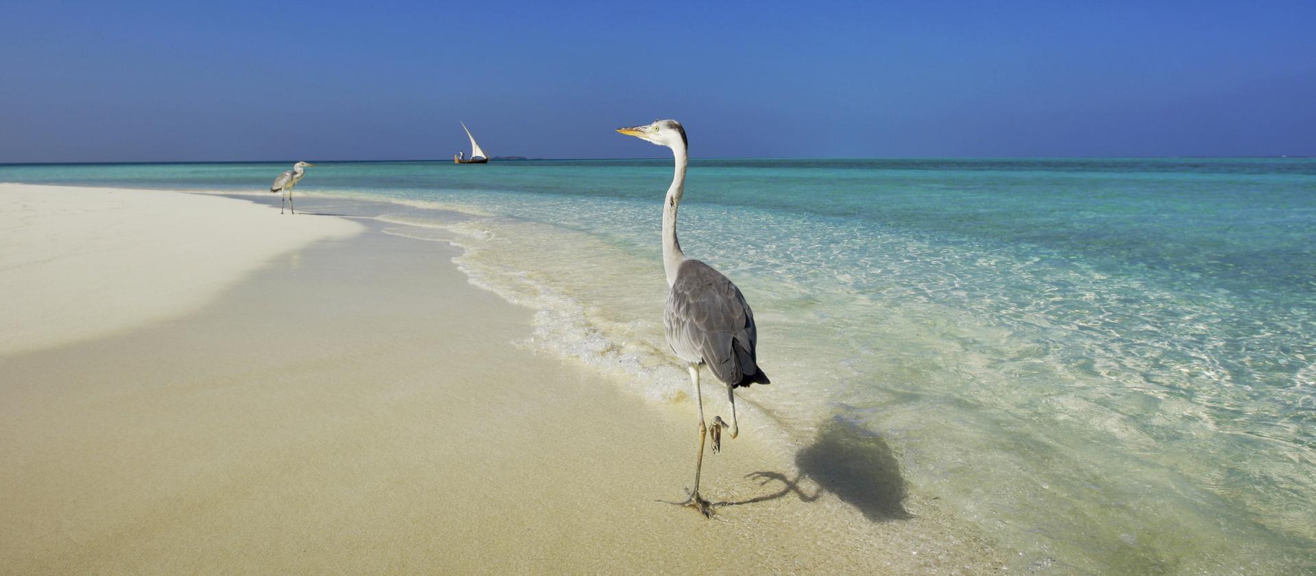 Velassaru Maldives
