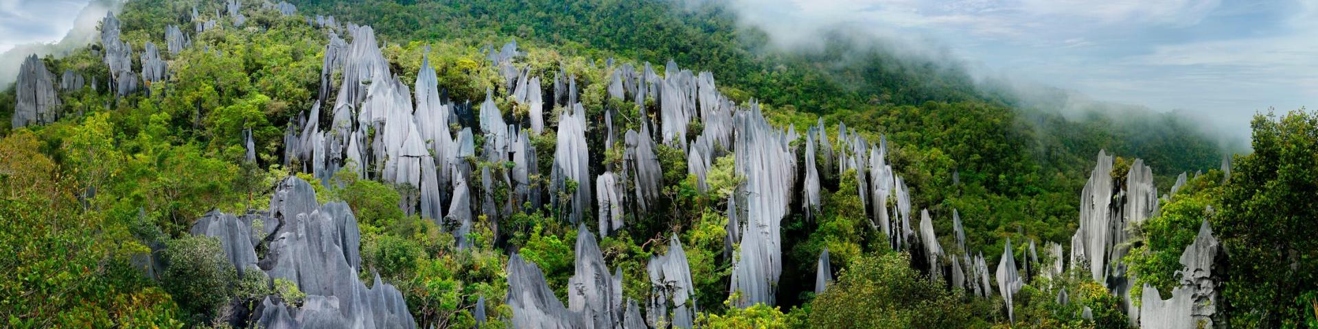 Borneo