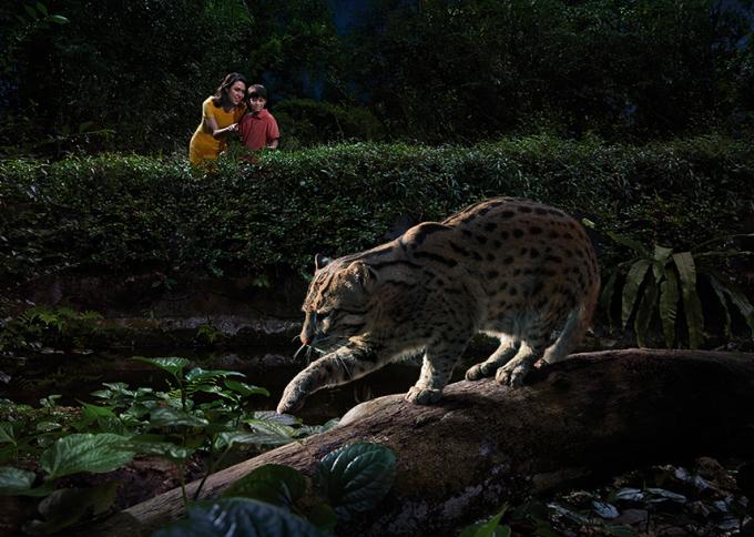 Nocne safari w Singapurze