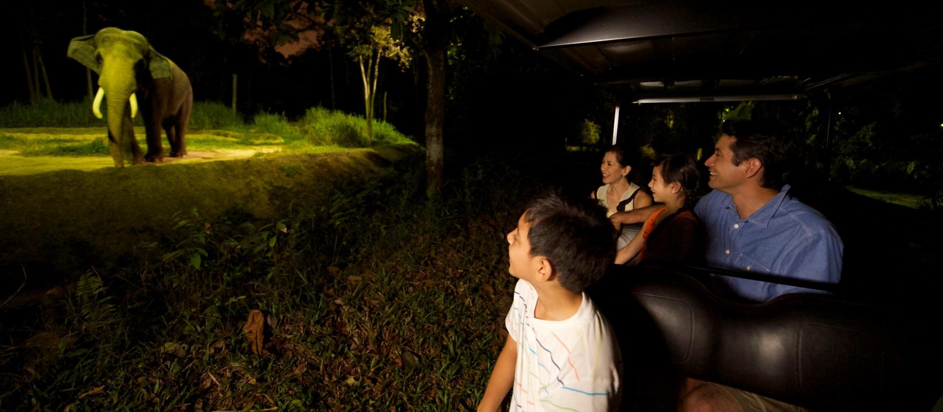 Nocne safari w Singapurze