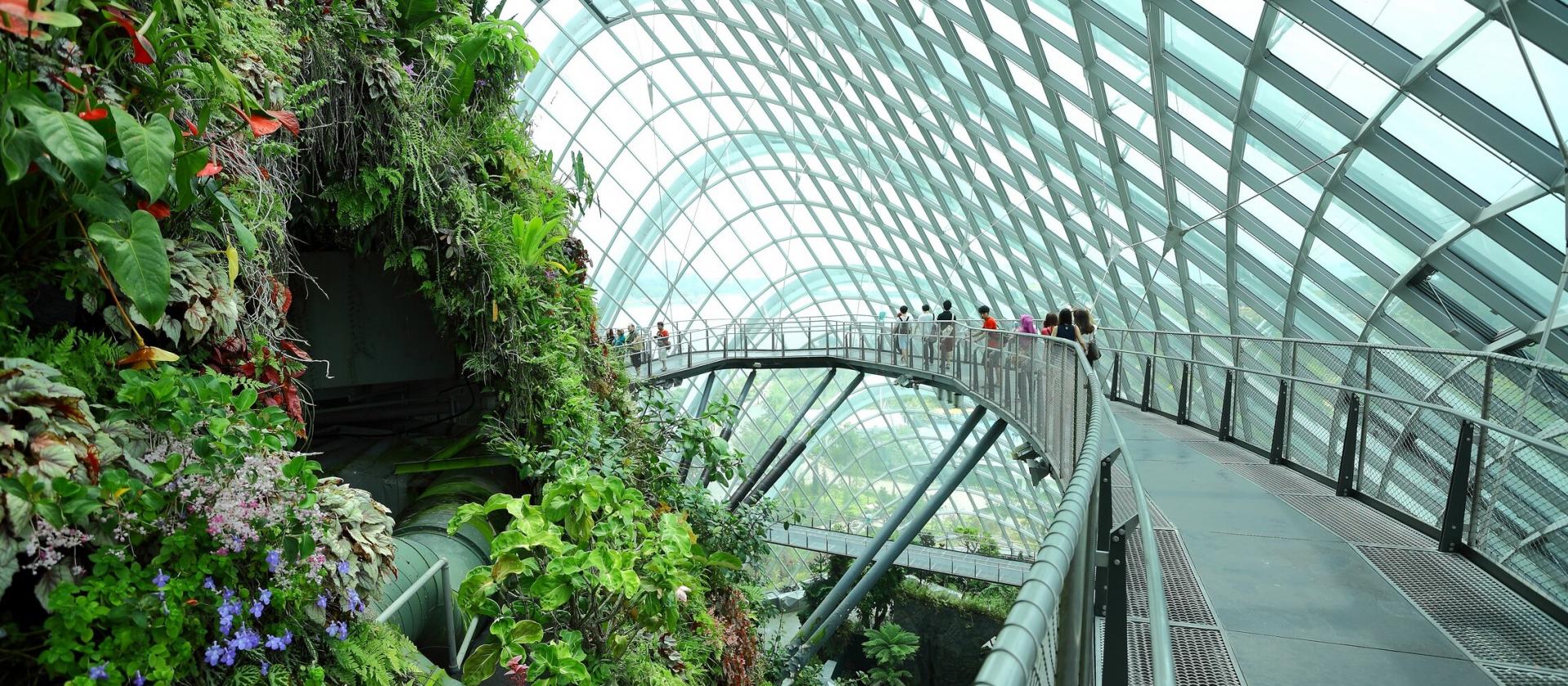 Wizyta w Gardens by the Bay 