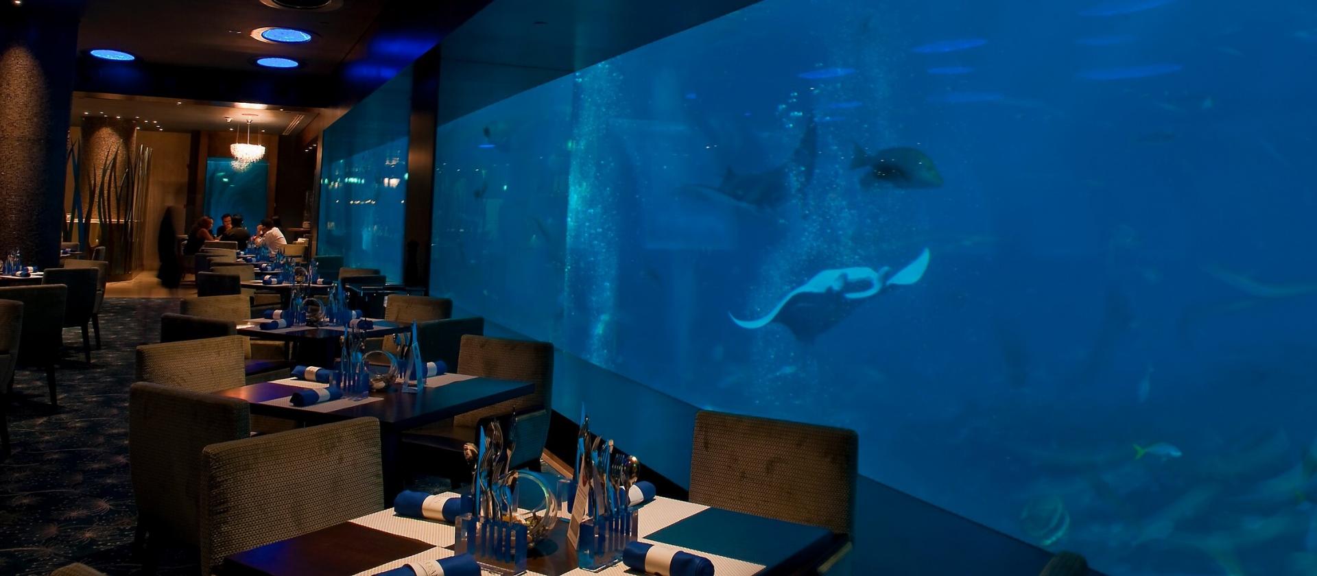 Wizyta w S.E.A Aquarium 