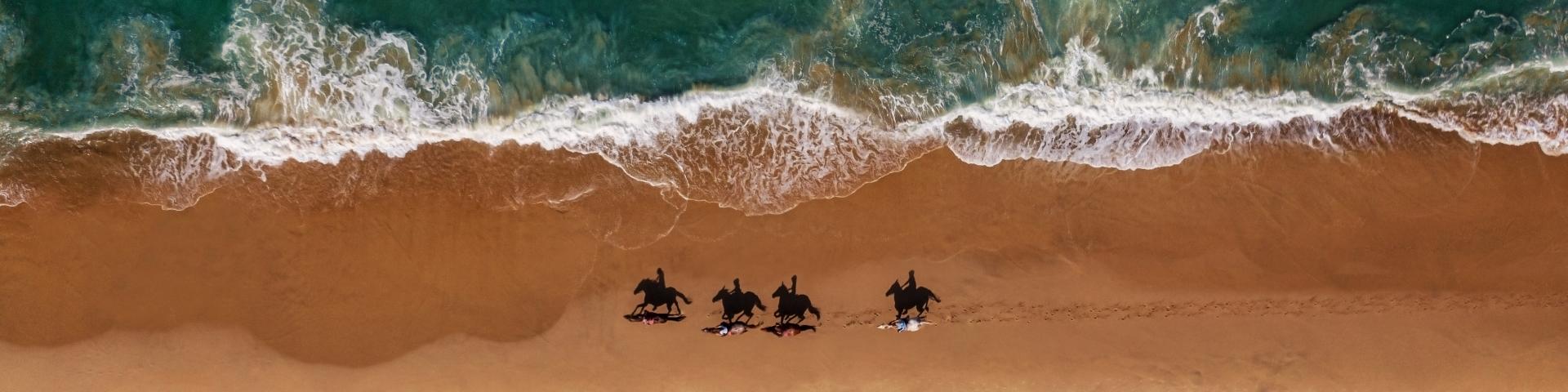 Jazda konna po plaży 