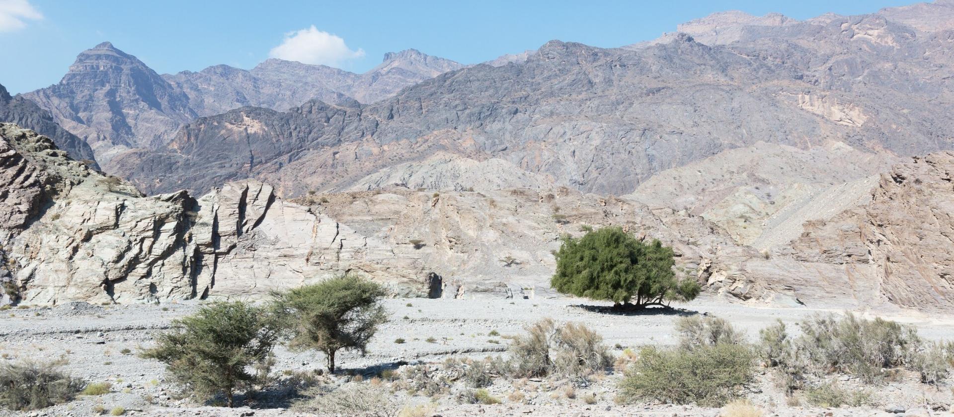 Off-road przez Wadi Bani Awf 