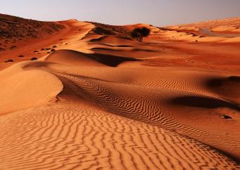 Wahiba Sands 