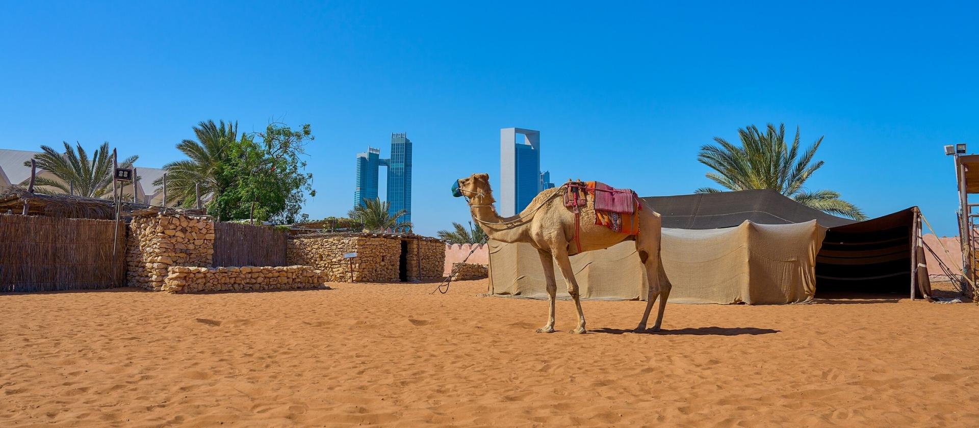 Zwiedzanie Abu Dhabi 