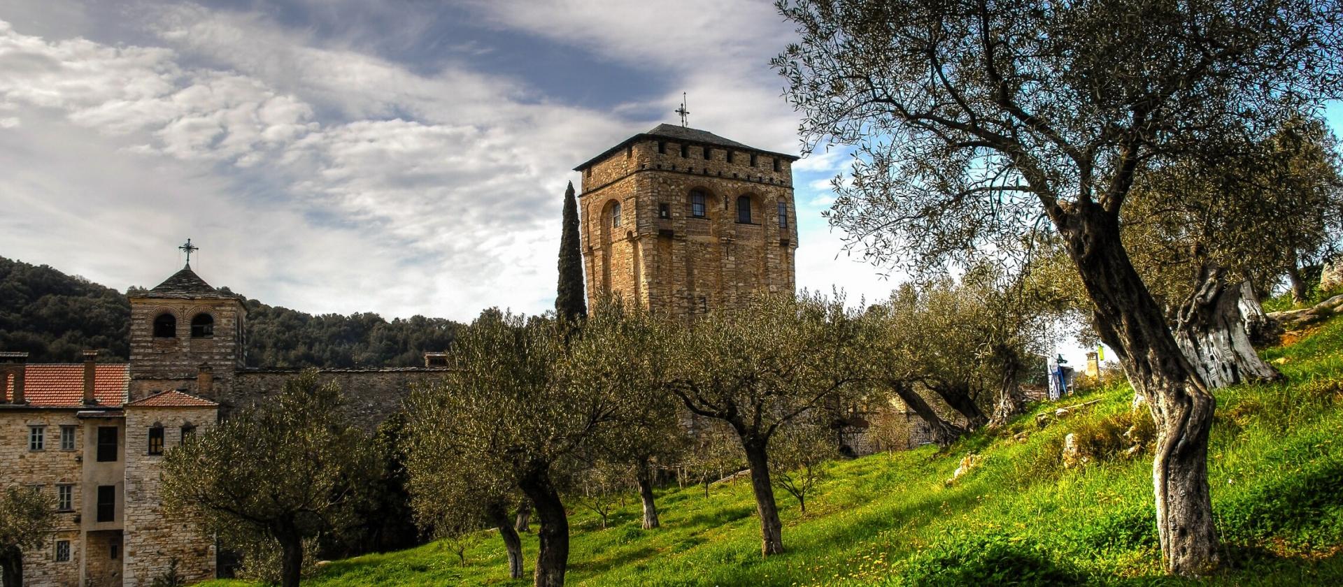 Gaj oliwny w monasterze Hilandar na Górze Athos