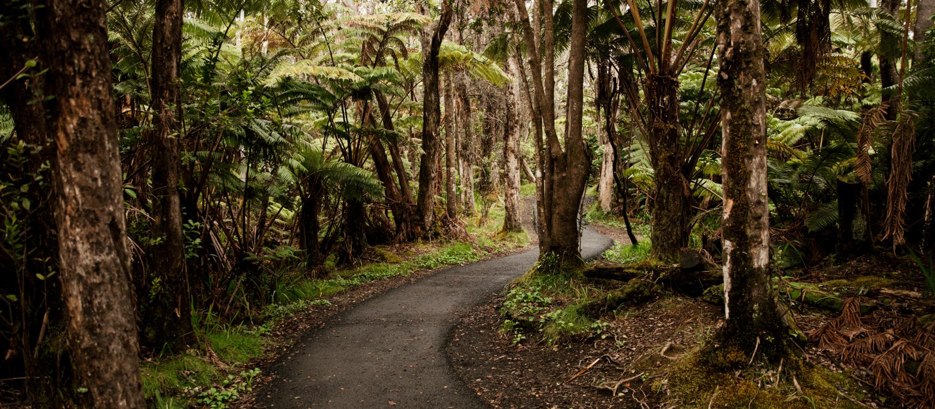 Park Narodowy Wulkanów (Volcanoes National Park)