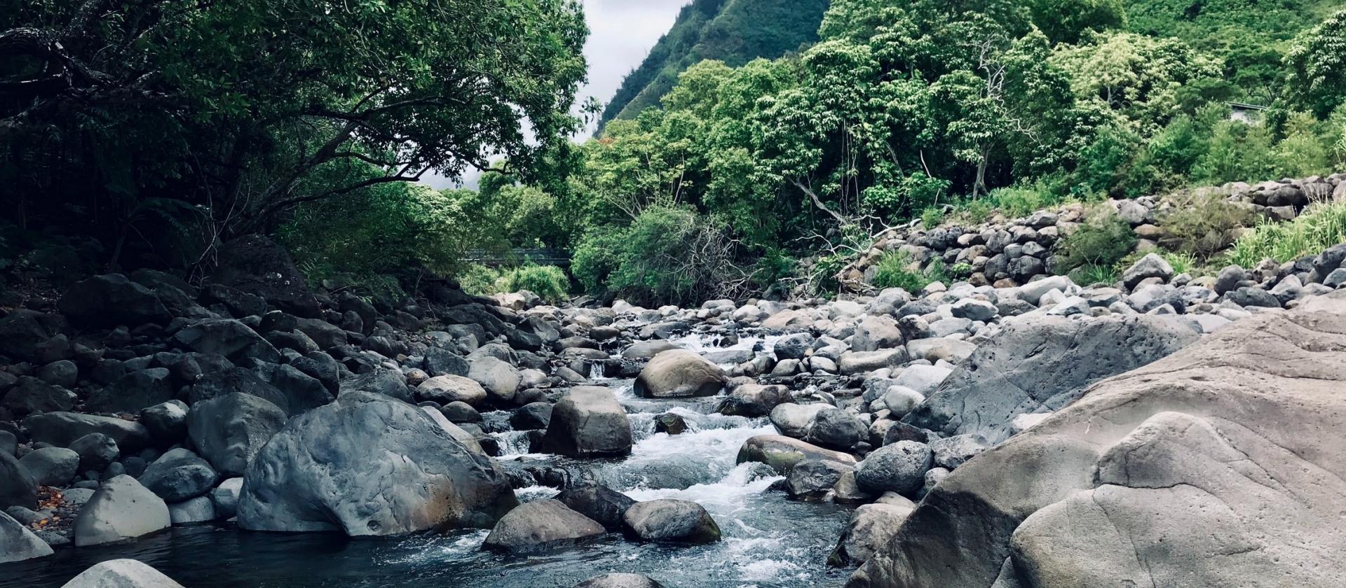 Dolina Iao na Maui