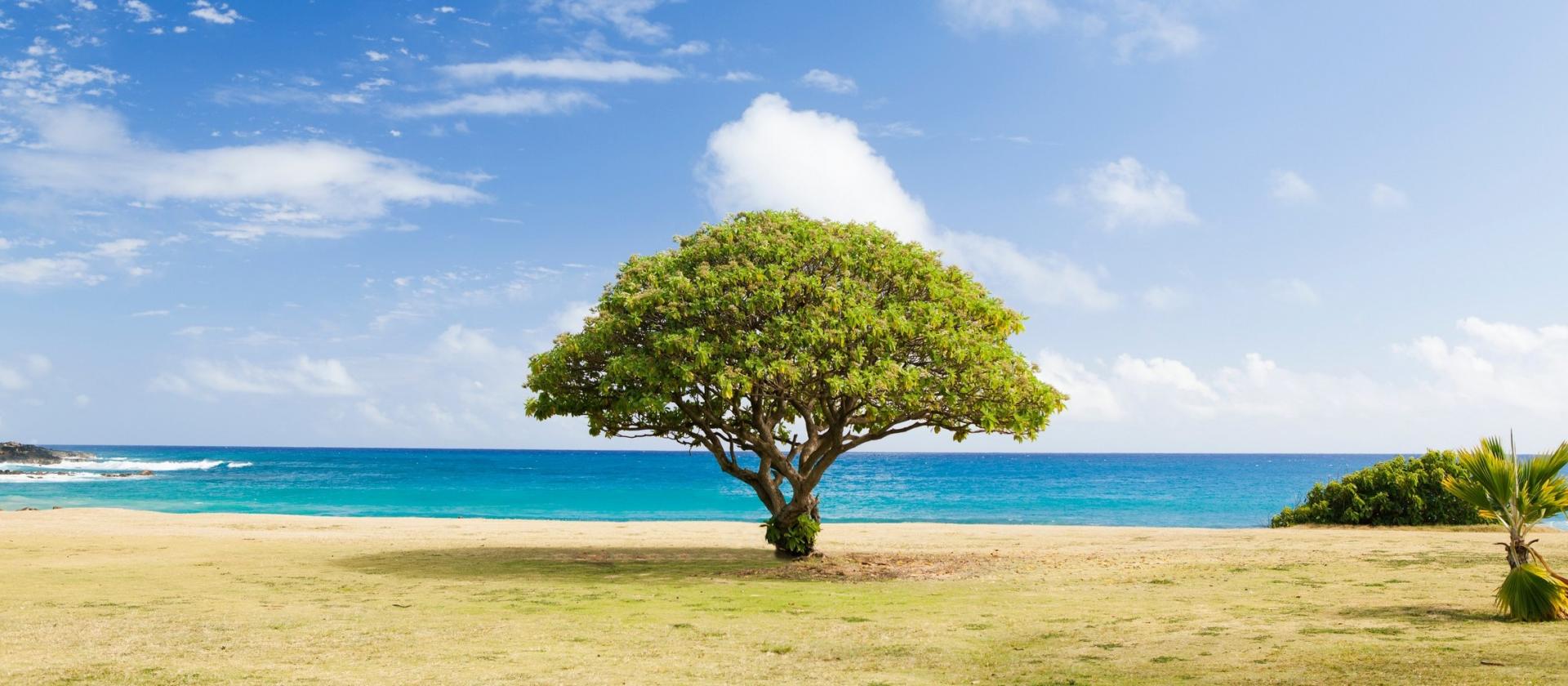 Plaża Poipu w Koloa