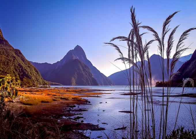 Fiordland