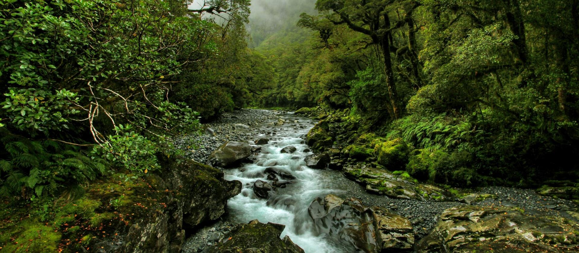 Fiordland
