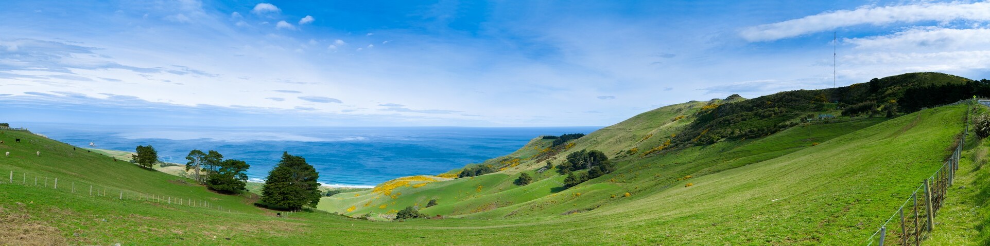 Marlborough
