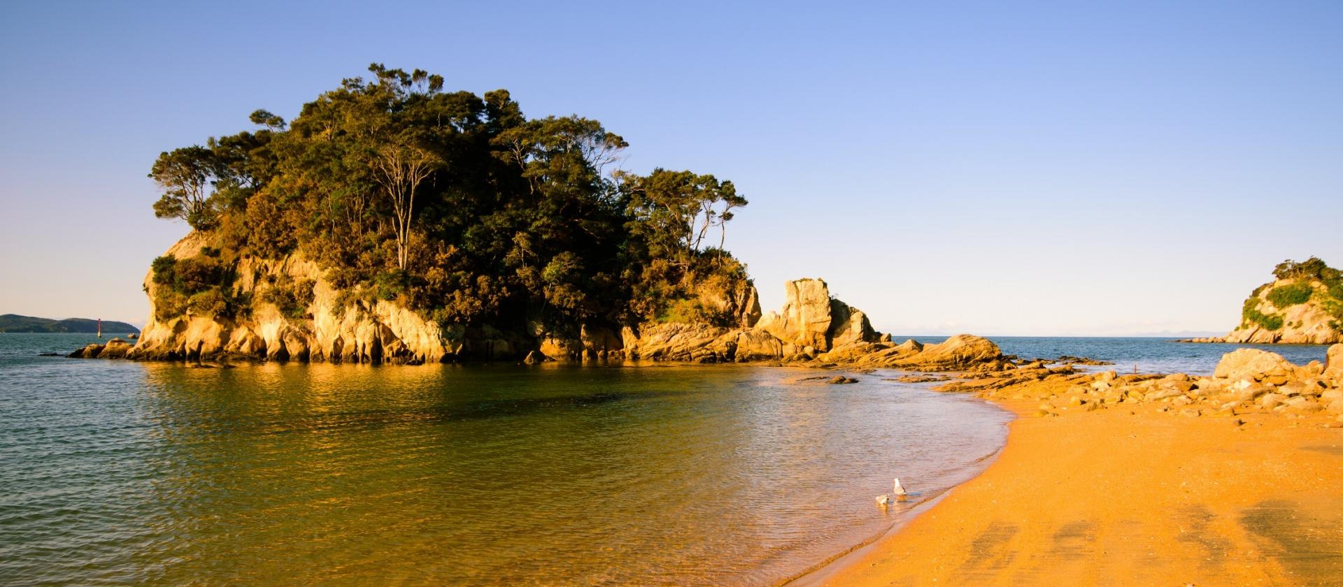 Nelson Tasman