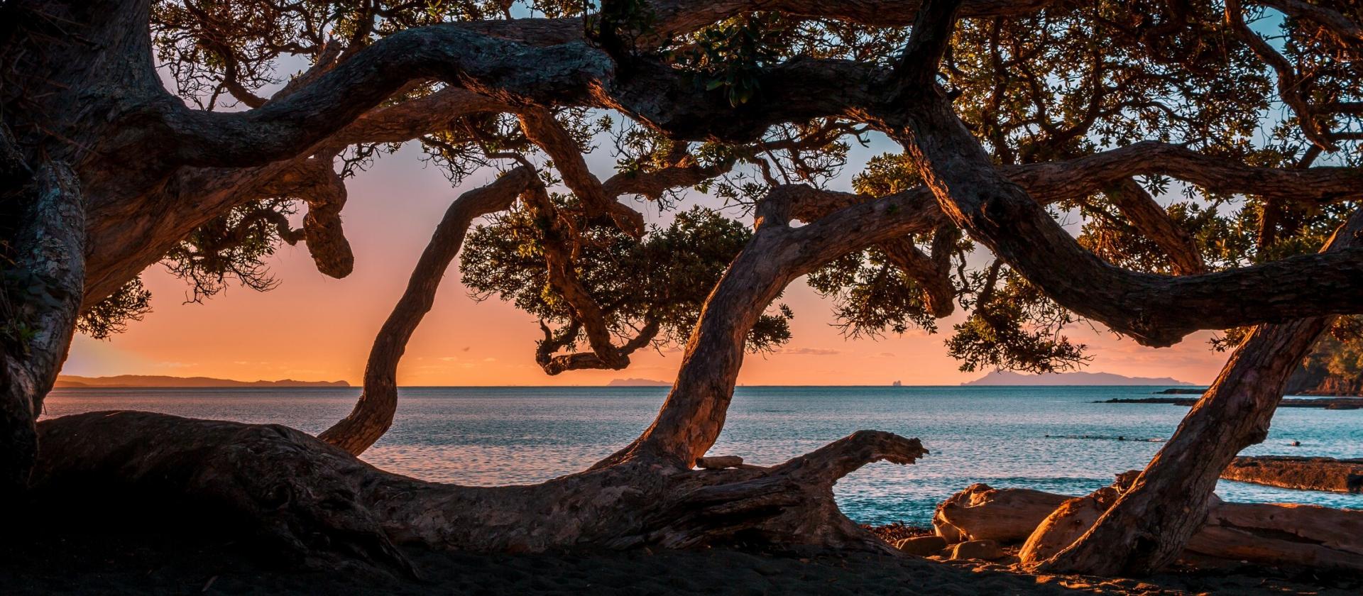 Northland i Zatoka Wysp (Bay of Islands)