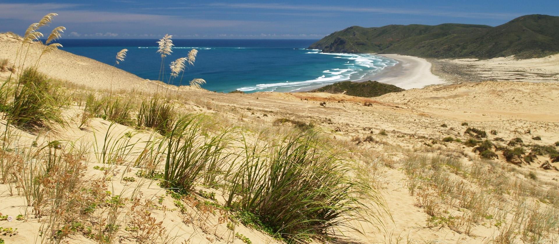 Northland i Zatoka Wysp (Bay of Islands)