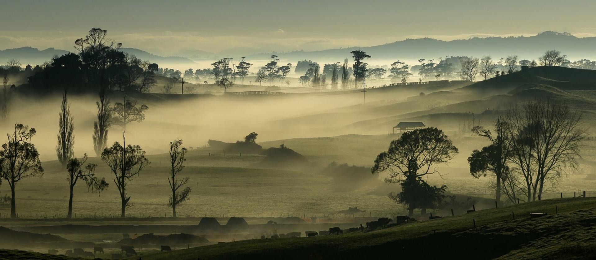 Waikato