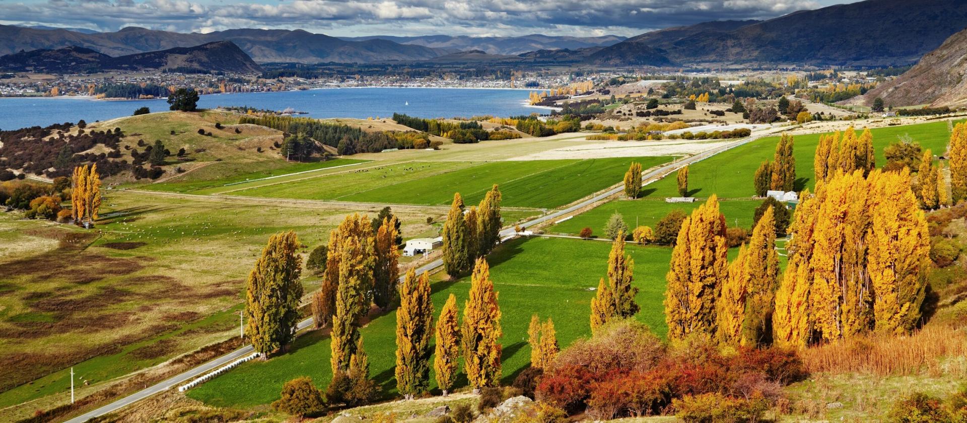 Wanaka
