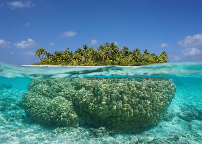 Tuamotu