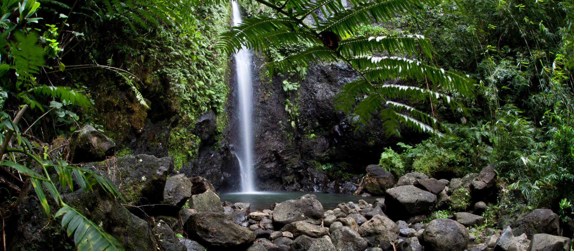 Jeden z licznych wodospadów na Tahiti