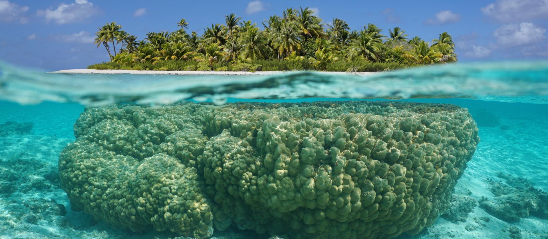 Rafa koralowa w archipelagu Tuamotu