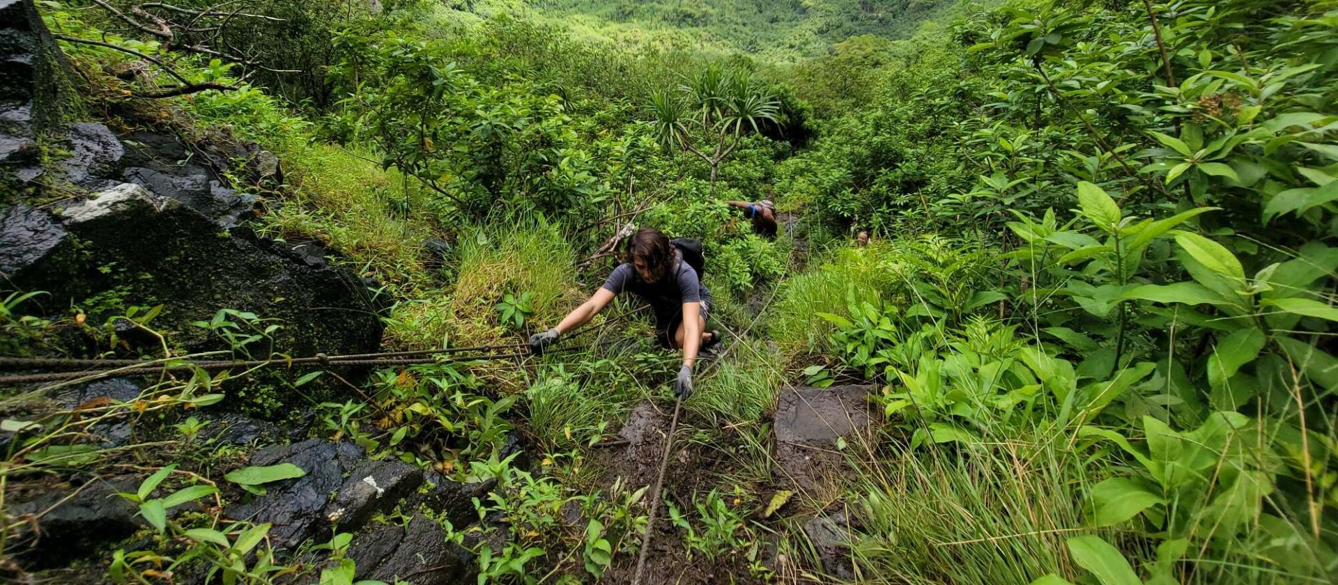Hiking na szczyt Hue na wyspie Bora Bora