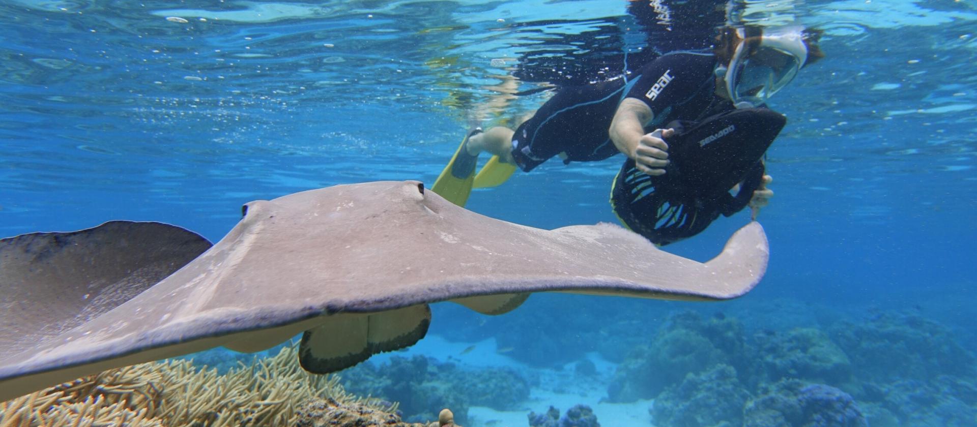 Pływanie ze skuterem podwodnym na wyspie Moorea