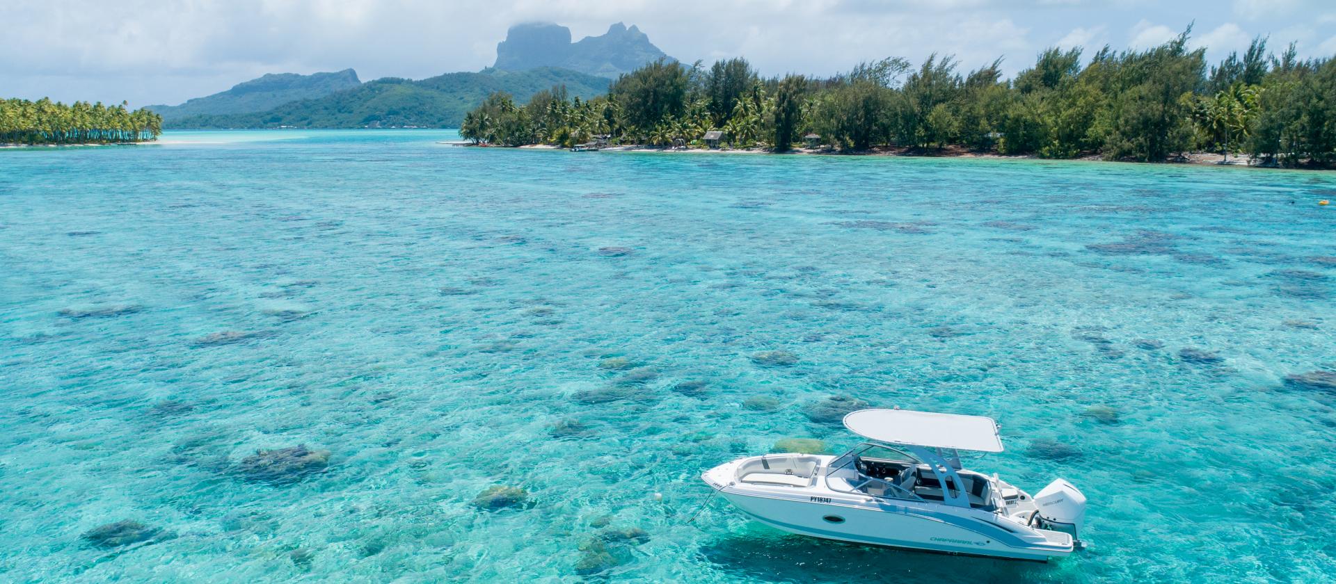 Snorkeling na Bora Bora