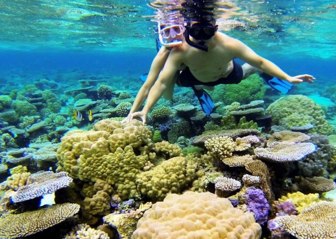 Snorkeling na Bora Bora