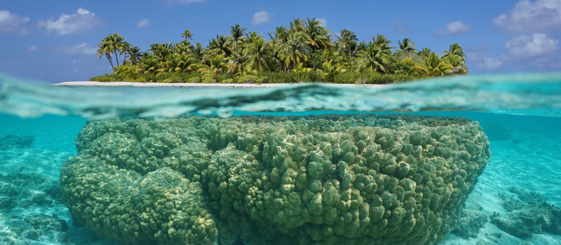 Z atolu na atol, czyli Bora Bora i Rangiroa